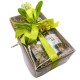 Продуктовая подарочная коробочка "Олива-8"