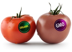 Органические продукты. Без ГМО.